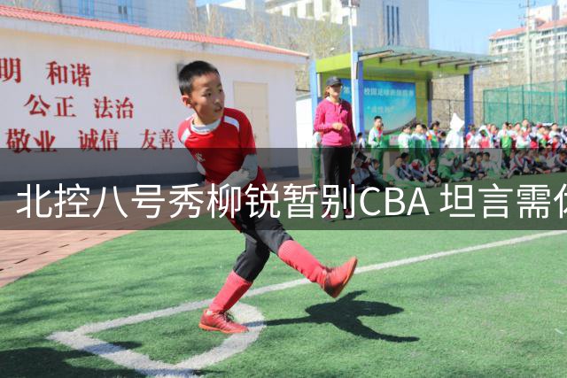 北控八号秀柳锐暂别CBA 坦言需休养伤病调整状态